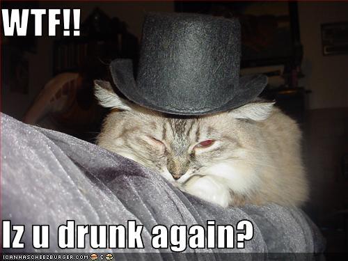 Namn:  wtf-cat-60447920838.jpg
Visningar: 1066
Storlek:  33,9 KB