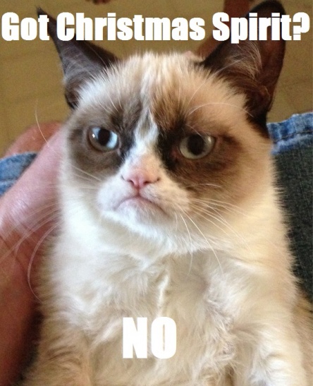 Namn:  MEME grumpy.jpg
Visningar: 344
Storlek:  94,7 KB