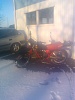 IMG 20130202 151537