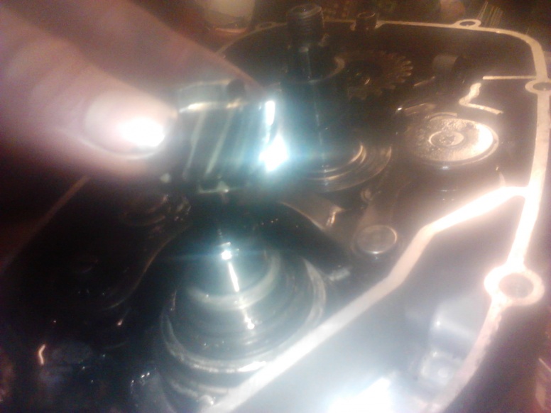 IMG 20130203 173558