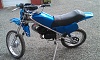 IMAG2295