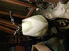 DSC00036