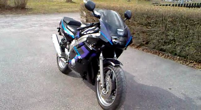 vårbild