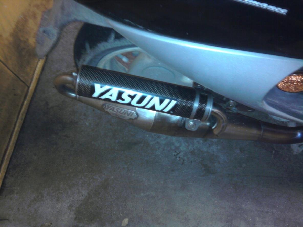 effektrör yasuni Z