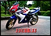 Honda CBR 125R HRC