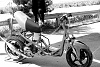 ATR Prorace scoot!