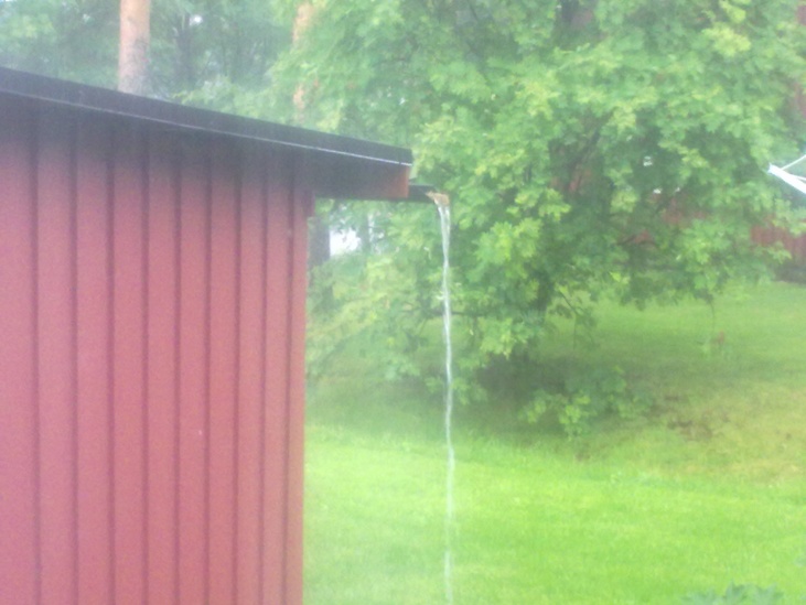 Namn:  20110625119.jpg
Visningar: 776
Storlek:  106,3 KB