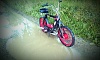IMAG0254