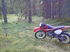 skojjin med riejun
