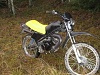 min mt5