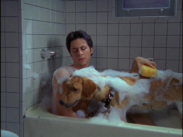 Namn:  2x10_JD_bathes_Rowdy.jpg
Visningar: 1052
Storlek:  31,0 KB