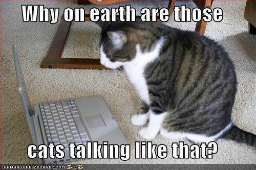 Namn:  funny-pictures-offended-cat-laptop.jpg
Visningar: 3722
Storlek:  38,1 KB