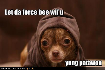 Namn:  funny-dog-pictures-let-the-force-be-with-you.jpg
Visningar: 970
Storlek:  22,7 KB