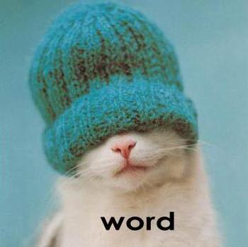 Namn:  CoolCat_SayingWORD_answer_2_xlarge.jpeg
Visningar: 976
Storlek:  14,0 KB