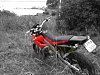 IMG 0110