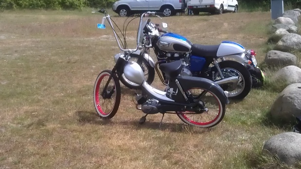 Monarpeden. -59