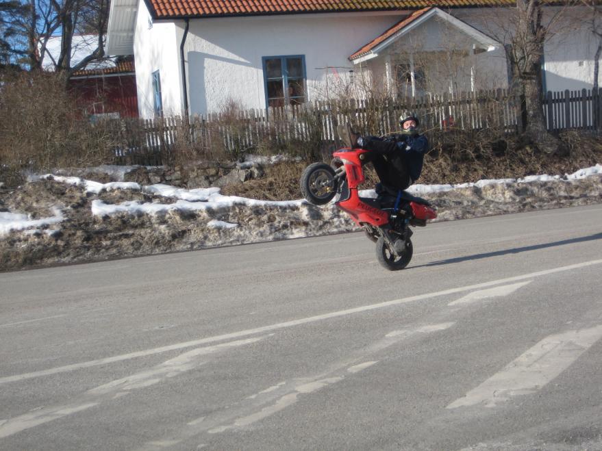IMG 1396