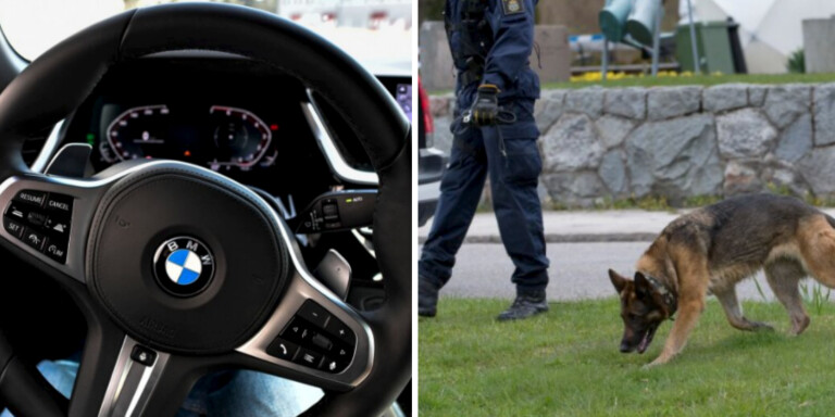 Gick in i villa och stal dyr BMW – åkte snabbt fast med hjälp av gps och polishund