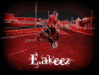 e.akeez