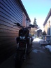 shercos avatar
