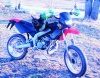 Puttepros avatar