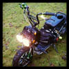 Danne Ps avatar